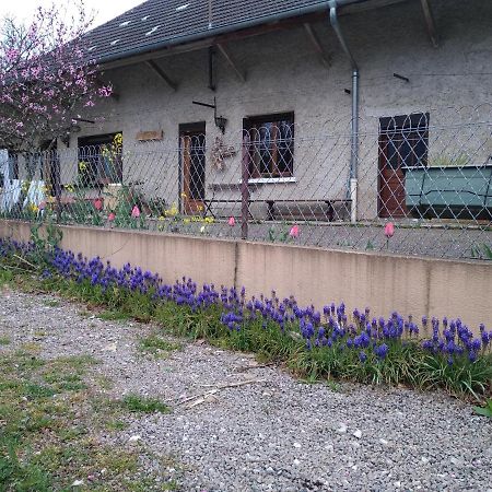 Chez Domi Syl Gite Nature Apartment Colonne Екстериор снимка