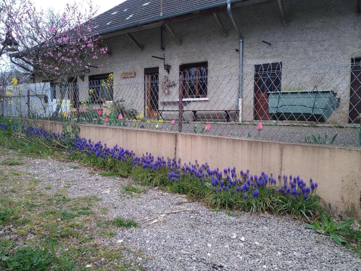 Chez Domi Syl Gite Nature Apartment Colonne Екстериор снимка