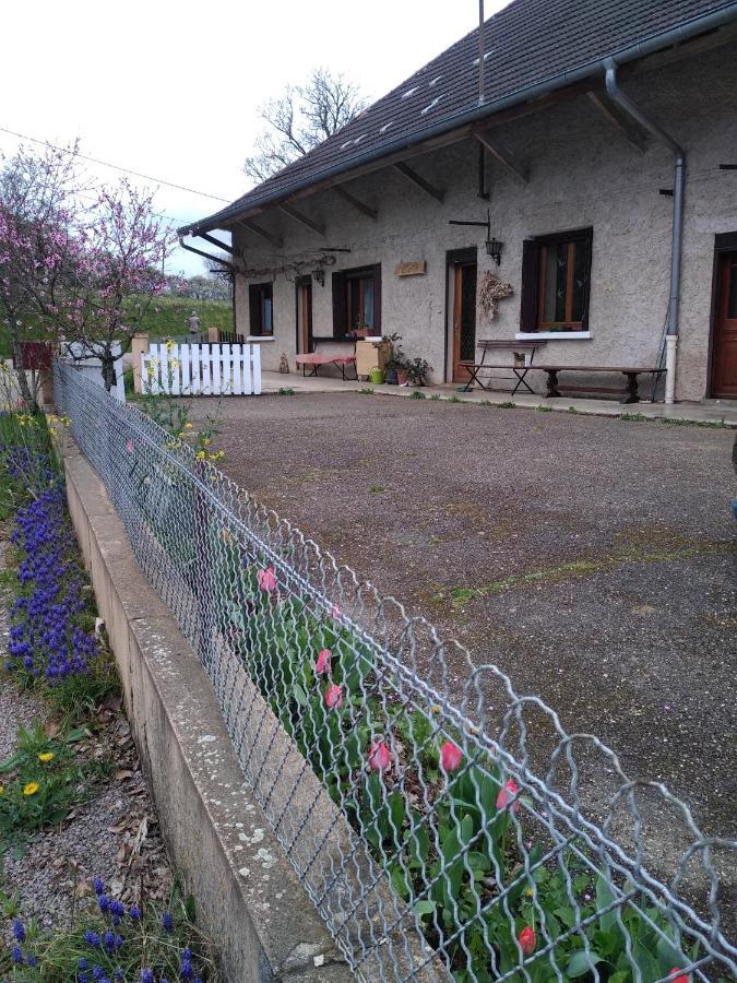 Chez Domi Syl Gite Nature Apartment Colonne Екстериор снимка
